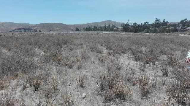 OCASIÓN REMATO TERRENO CHIGUATA Arequipa PROYECTO DE VIVIENDA - 1