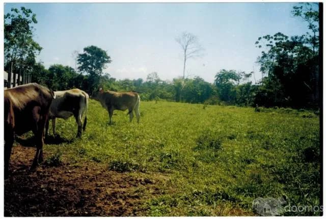 venta de terreno agricola - 1