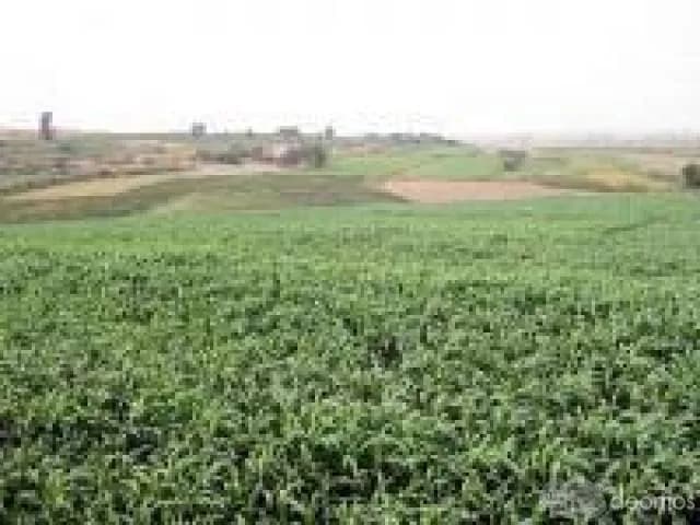 VENDO TERRENO AGRÍCOLA DE 14,851.6355 HECTAREAS - 1