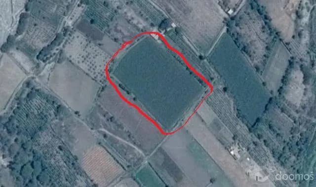 VENTA DE TERRENO, AGRICOLA - 1