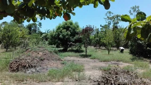 Te gustaría poner un negocio ? esta es tu oportunidad Terreno en Puerto maldonado muy buena ubicación - 1