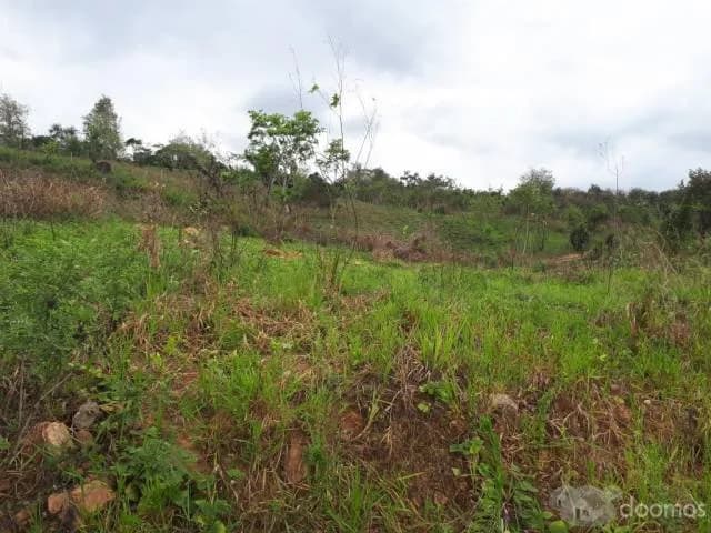 VENDO HERMOSO TERRENO!!! - 2