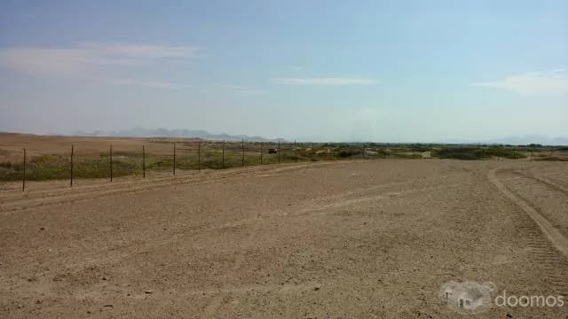 Alquilo 6.55 hectáreas para siembra en Chiclayo – Mocupe - 1