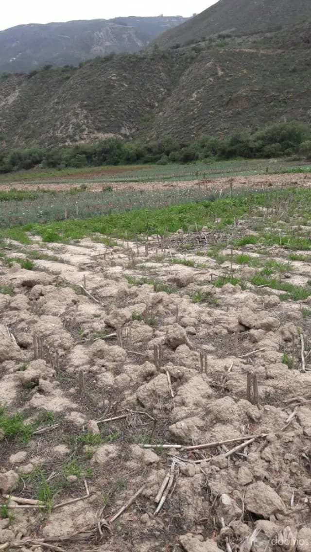 Venta de Terreno con Casa de Campo en Caraz - 2