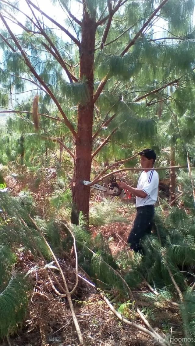 terreno en venta - 1