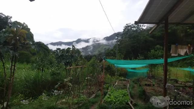 TERRENO EN VENTA CON CASA EN SATIPO (JUNIN) - 1