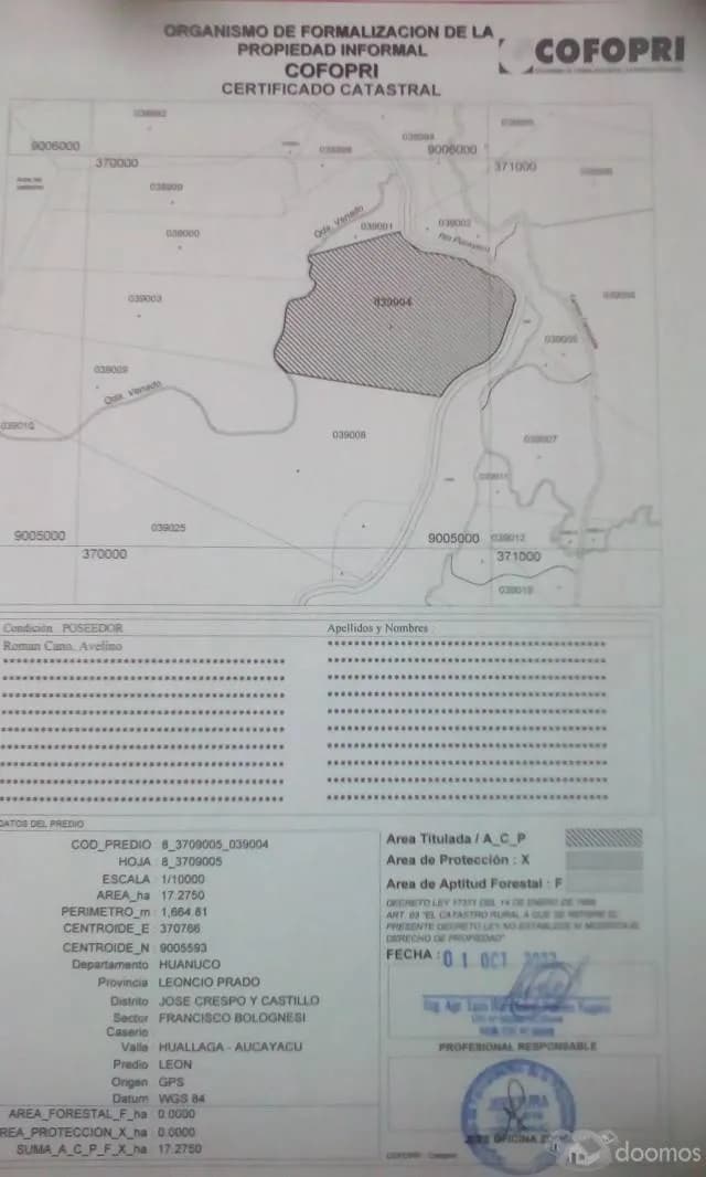 OCASIÓN VENDO 30 HECTAREAS DE TERRENO AGRICOLA EN HUANUCO - 1