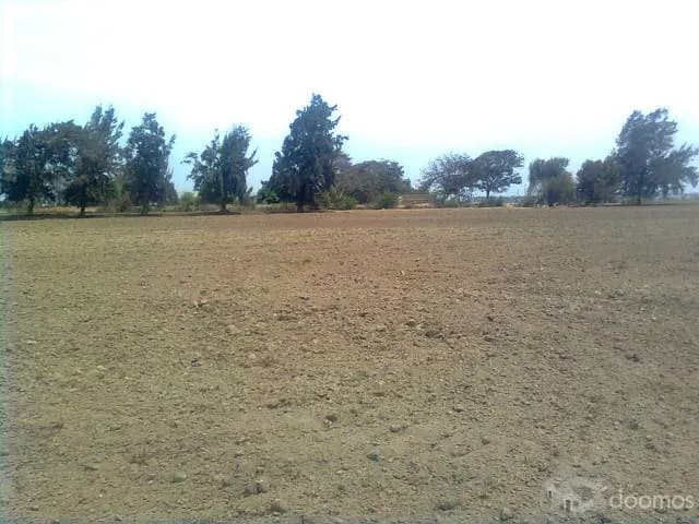 TERRENOS EN CHINCHA BAJA - 1