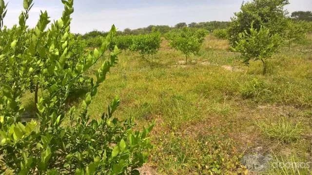 SE VENDE PARCELA - 1