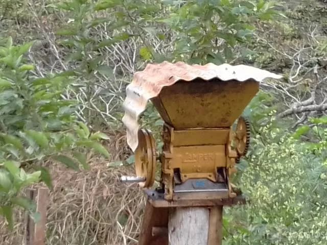 VENTA DE TERRENO EN PROVINCIA RODRIGEZ DE MENDOZA OMIA-PLAN GRANDE - 1