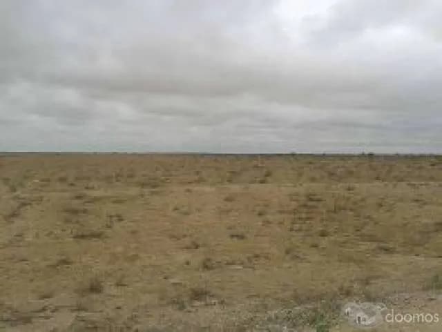 Terreno 11 hectarias Paijan Manco Capac sector 3 por carretera al pulpar Para siembra de moringa o Granjas - 1