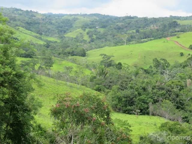 * VENTA DE FUNDO DE 76 HECT CON LUZ AGUA Y DESAGUE * - 1