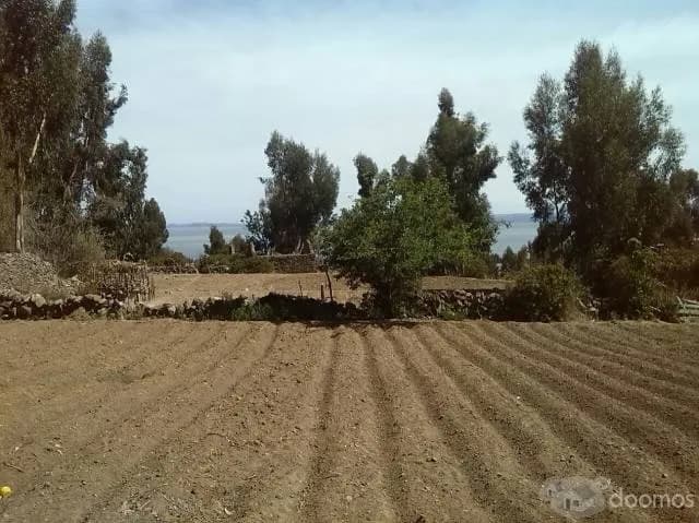 VENTA DE TERRENO EN PUNO-ISLA AMANTANI - 1