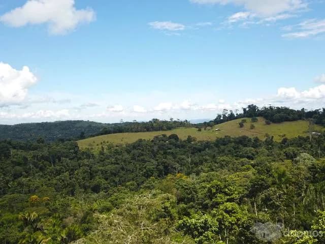 Invierte en Inmuebles, separa tu terreno con $500 y vive la experiencia de Sauce - 2