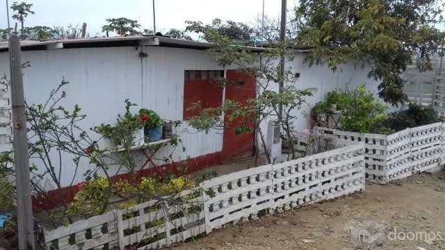 OCASIÓN - Vendo Casita Huerta de 360 M2 en Pachacutec VENTANILLA - 1