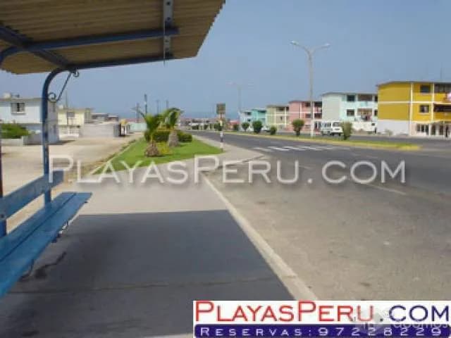 Vendo departamento en ciudad nueva - 1