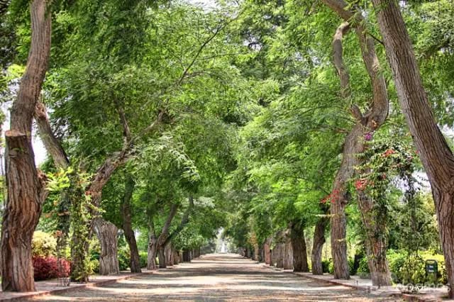 Venta de Nicho / 5 Niveles Multifamiliar - 2