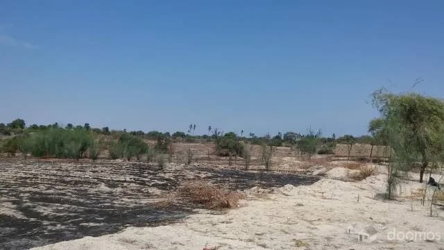 REMATE DE TERRENOS EN CHALACO - 1