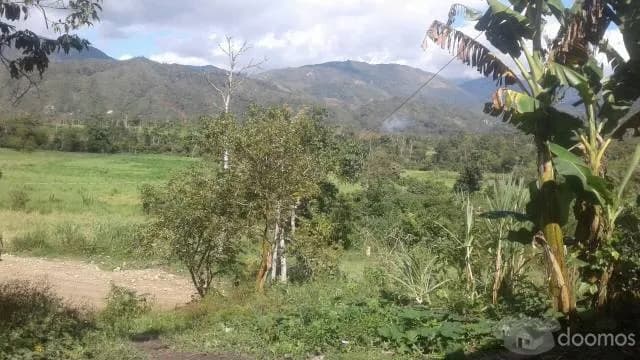 vendo fundo de terreno-amazonas - 1