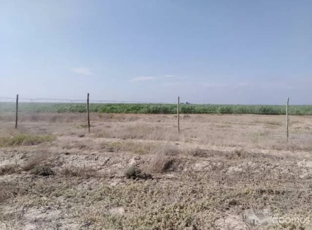 VENTA DE TERRENOS 2DA ETAPA DEL PROYECTO DE OLMOS - 1