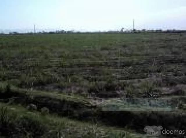 VENDO TERRENO POR VIAJE - 1