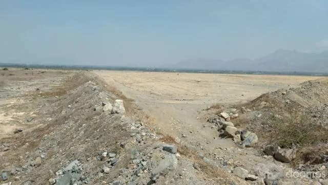 VENDO TERRENOS PARA TODO TIPO DE CULTIVO DE AGROEXPORTACION - 1