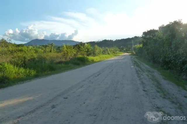 Venta De Terrenos En Moyobamba - 1