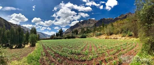 Venta de terreno en el Valle Sagrado de los Incas - Pisac - 1