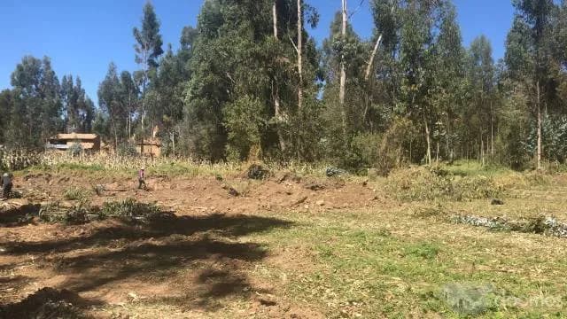 TERRENO EN VENTA IDEAL PARA CASA DE CAMPO / RECREO EN SANTA ROSA DE OCOPA - 2