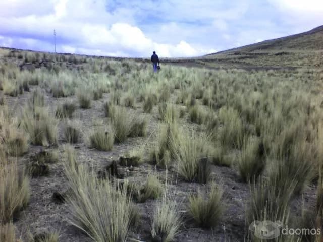 TERRENOS EN VENTA: GRAN OPORTUNIDAD DE NEGOCIO - 1