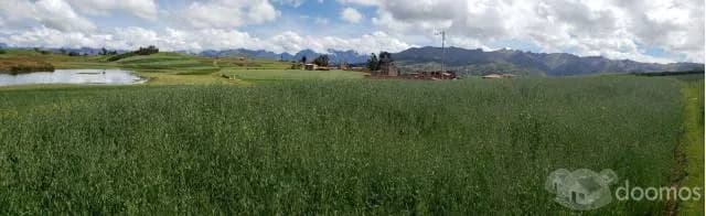 ¡Oferta De Terrenos Cusco! Lotes de 500m2 a $35/m2! - 1