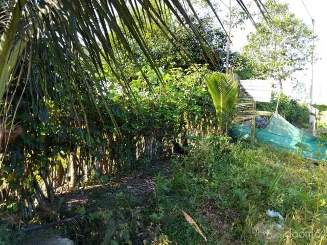 VENDO TERRENO (ESQUINA), A POCOS METROS DE "Universidad Católica Sedes Sapientiae - FILIAL RIOJA - NUEVA CAJAMARCA  ,  PARA NEGOCIO O VIVIENDA - 2