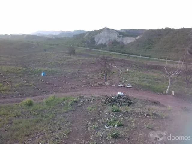 ATENCION: ONG’s – UNIVERSIDADES, INSTITUCIONES; EMPRESAS, ETC - 1