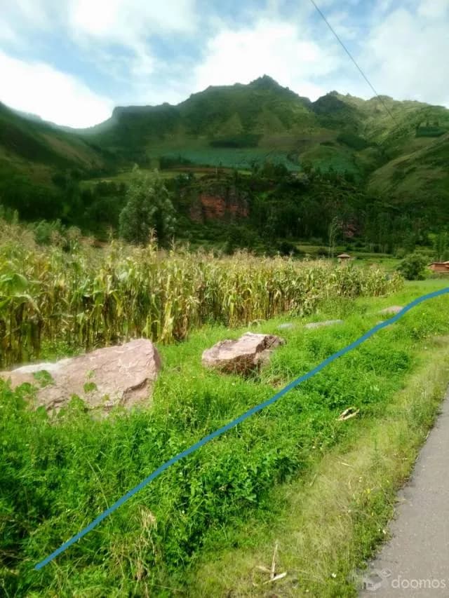 Lindo Terreno frente al Santiario del Sr. de Huanca y al pie de carretera Pisac-San Salvador - 1