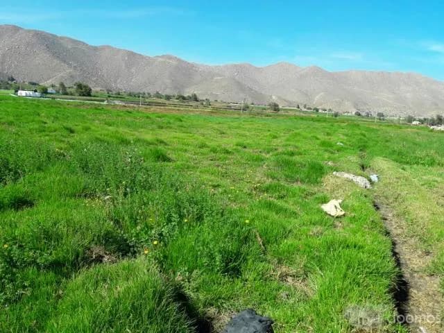 Vendo Terreno 4,508.00 m2 Las Paredes  Socabaya - 2