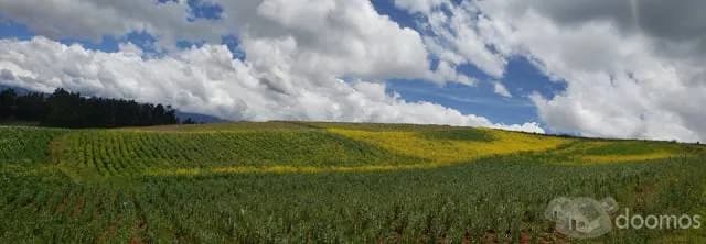 Potencial inversión Terrenos aledaños al Aeropuerto Internacional de Chincheros, Cusco - 1