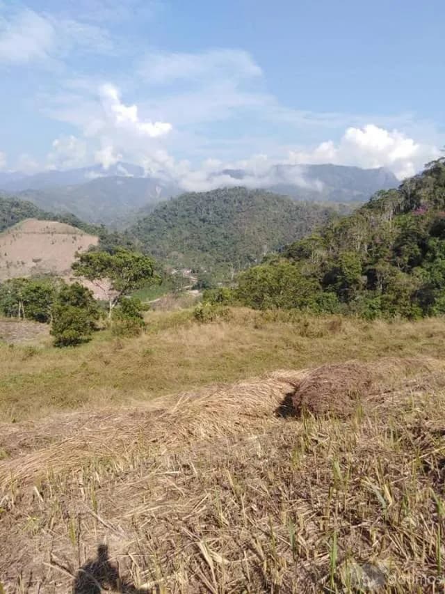 TERRENO PLANO 40 000 METROS MUY CERCA A LA PISTA EN SAN LUIS DE SHUARO - 1