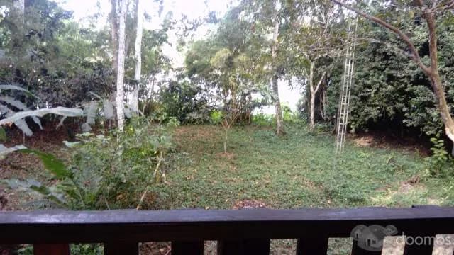 Vendo hermosos terrenos en Km. 6 del circuito turístico de Puerto Maldonado. - 1