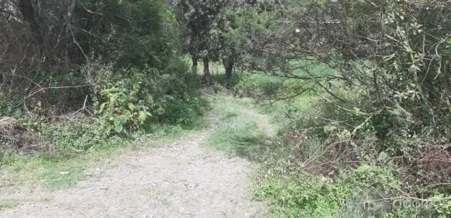 VENDO TERRENO EN PHIRY OLLANTAYTAMBO - 2