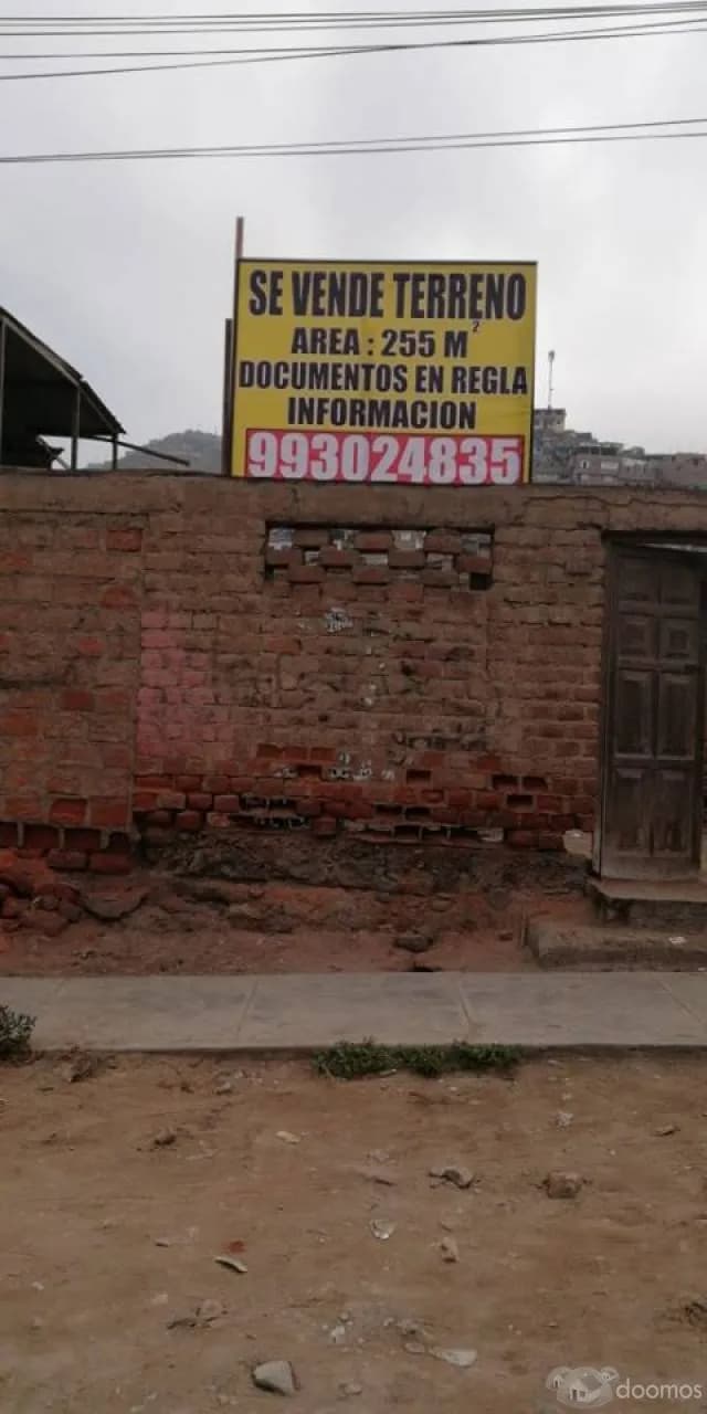 Se vende Terreno en Villa Maria del Triunfo - 1
