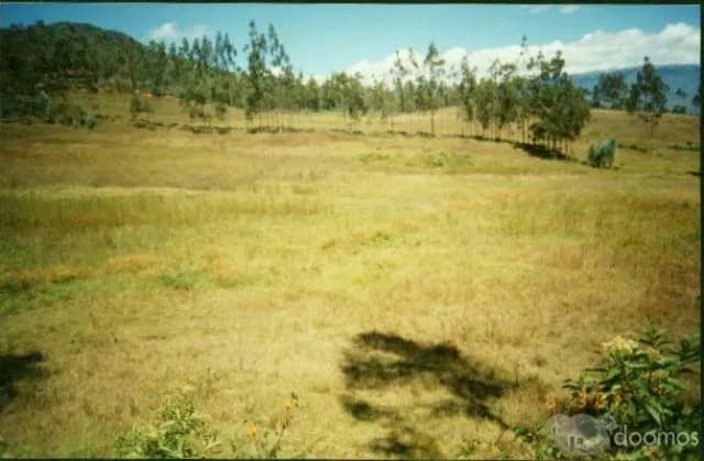 VENTA DE TERRENO EN CHACHAPOYAS - 2