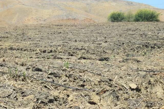 Venta de terrenos Agrícolas - 1