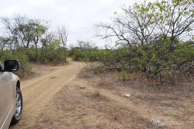 Venta de terrenos Agrícolas - 2