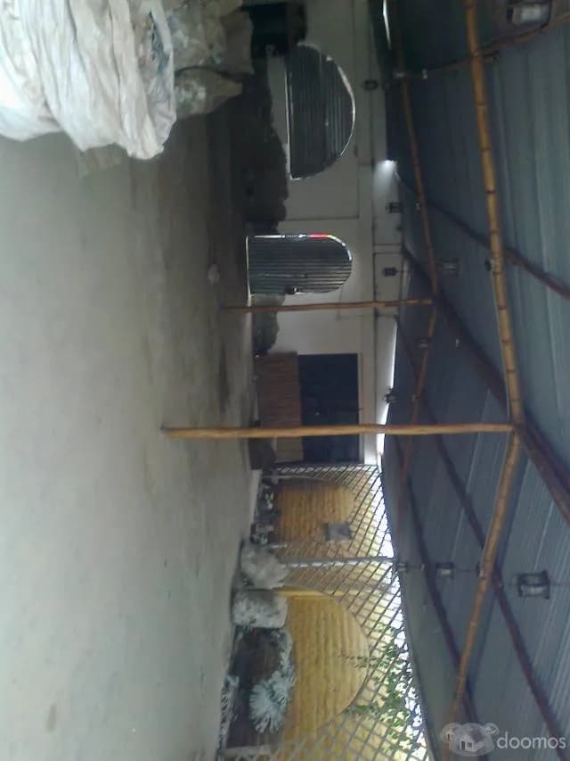 VENDO TERRENO 300 M2. - 1