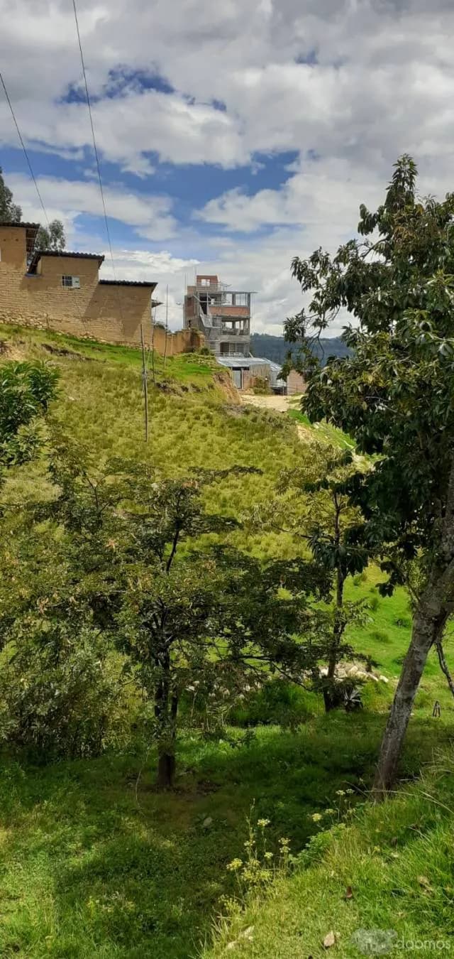 VENTA TERRENO 100m2 EN CAJABAMBA-CAJAMARCA BUENA UBICACION - 1