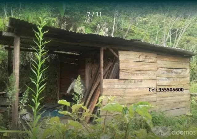 Terreno agrícola 12 hras, Vitoc, San Ramón, Chanchamayo - 1