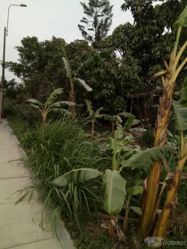 Terreno Residencial en Condominio Cerrado - 1