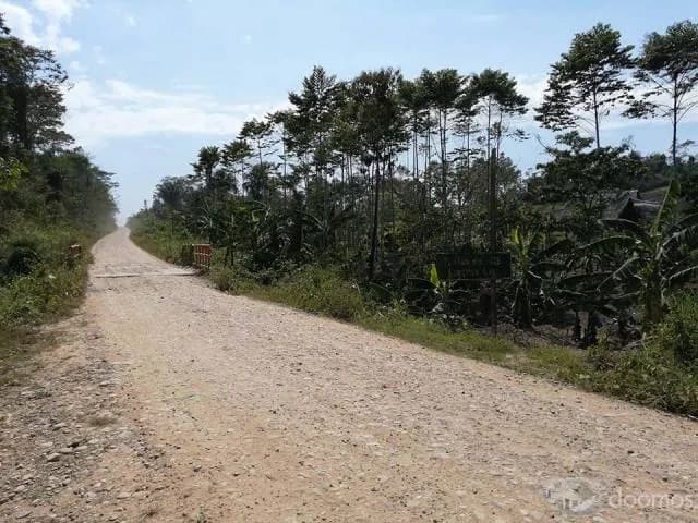 “OPORTUNIDAD EN LA SELVA,TERRENO CERCA A PUCALLPA” / 996721171 - 1