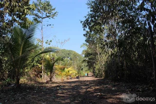 “OPORTUNIDAD EN LA SELVA,TERRENO CERCA A PUCALLPA” / 996721171 - 2