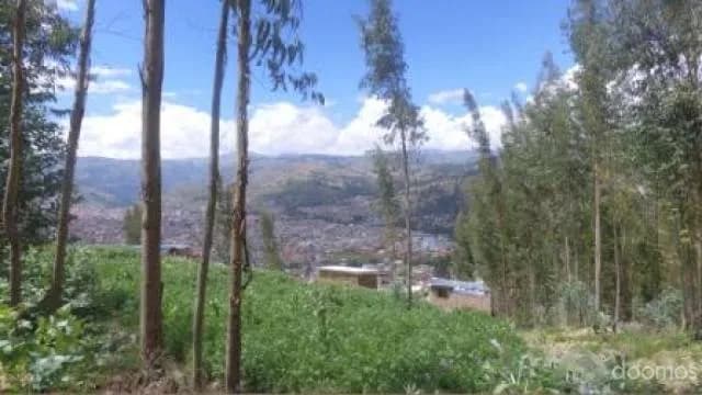 Gran Oportunidad de Inversión y Rentabilidad en Terreno para Lodge Hotel u Otro Proyecto - 1
